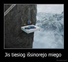 Jis tiesiog išsinorejo miego  - 