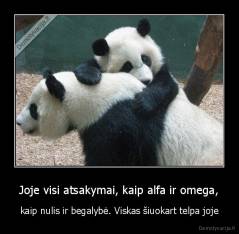 Joje visi atsakymai, kaip alfa ir omega, - kaip nulis ir begalybė. Viskas šiuokart telpa joje