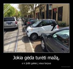 Jokia gėda turėti mažą, - o ir įkišti galėsi į visus tarpus