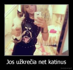 Jos užkrečia net katinus - 