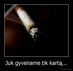 Juk gyvename tik kartą... - 