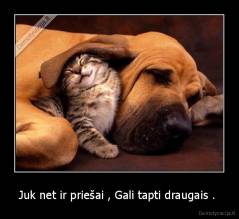 Juk net ir priešai , Gali tapti draugais .  - 