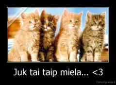 Juk tai taip miela... 