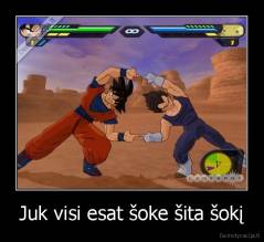 Juk visi esat šoke šita šokį - 