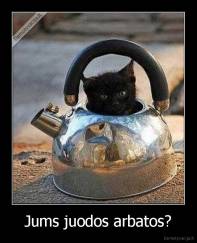 Jums juodos arbatos? - 