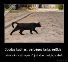 Juodas katinas, perbėges kelią, reiškia  - reikia laikytis už sagos. O jis kaltas ,kad jis juodas? 