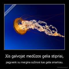 Jūs galvojat medūzos gelia stipriai, - pagyvenk su mergina sužinosi kas gelia smarkiau.