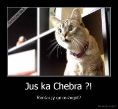 Jus ka Chebra ?! - Rimtai jy gniauziojot?