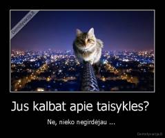 Jus kalbat apie taisykles?  - Ne, nieko negirdėjau ... 