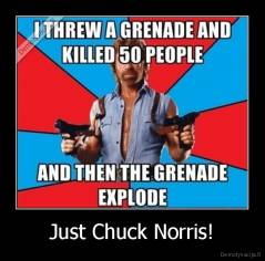 Just Chuck Norris! - 