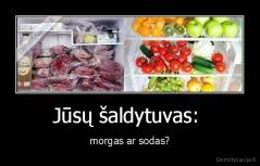 Jūsų šaldytuvas:  - morgas ar sodas?