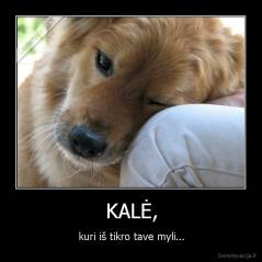 KALĖ, - kuri iš tikro tave myli...