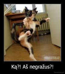 Ką?! Aš negražus?! - 