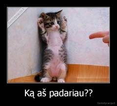 Ką aš padariau?? - 
