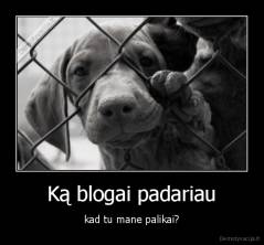 Ką blogai padariau - kad tu mane palikai?