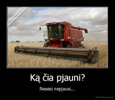 Ką čia pjauni? - Nesėsi nepjausi...
