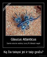 Ką čia taisysi jei ir taip gražu? - 