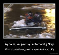 Ką darai, kai įvairuoji automobilį į Nerį? - Išsitrauki savo išmanųjį telefoną ir pasitikrini facebook'ą