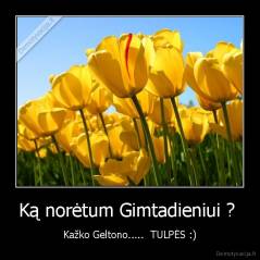 Ką norėtum Gimtadieniui ?  - Kažko Geltono.....  TULPĖS :)