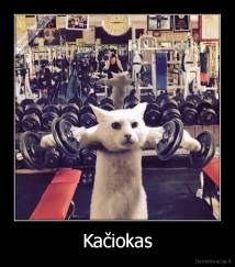 Kačiokas - 