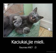 Kaciukai,jie mieli. - Raunies ANE?  :D