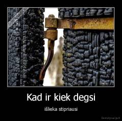 Kad ir kiek degsi - išlieka stipriausi