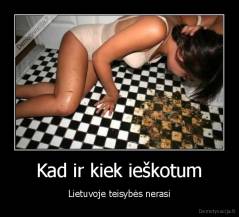 Kad ir kiek ieškotum - Lietuvoje teisybės nerasi