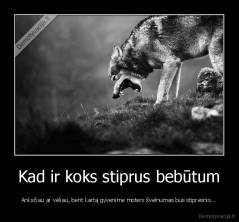 Kad ir koks stiprus bebūtum - Anksčiau ar vėliau, bent kartą gyvenime moters švelnumas bus stipresnis...