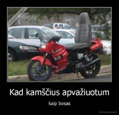 Kad kamščius apvažiuotum - kaip bosas