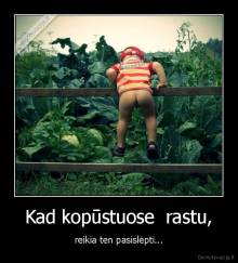 Kad kopūstuose  rastu, - reikia ten pasislėpti...