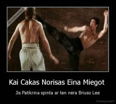 Kai Cakas Norisas Eina Miegot  - Jis Patikrina spinta ar ten nėra Briuso Lee