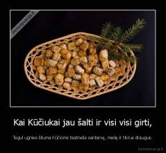 Kai Kūčiukai jau šalti ir visi visi girti, - Tegul ugnies šiluma Kūčioms teatneša santarvę, meilę ir tikrus draugus.