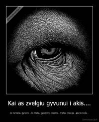 Kai as zvelgiu gyvunui i akis.... - As nematau gyvuno...As matau gyvenimo prasme...matau drauga...jauciu siela...