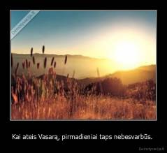 Kai ateis Vasarą, pirmadieniai taps nebesvarbūs.  - 