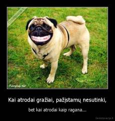 Kai atrodai gražiai, pažįstamų nesutinki, - bet kai atrodai kaip ragana...