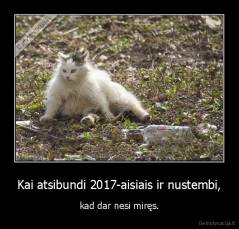 Kai atsibundi 2017-aisiais ir nustembi, - kad dar nesi miręs.