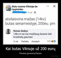 Kai butas Vilniuje už 200 eurų - Primena gyvenimą Šarane