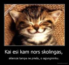 Kai esi kam nors skolingas,  - sklerozė tampa ne priešu, o sąjungininku. 