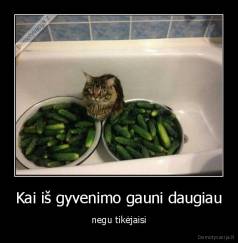 Kai iš gyvenimo gauni daugiau - negu tikėjaisi