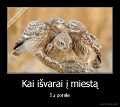 Kai išvarai į miestą - Su porele