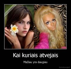 Kai kuriais atvejais - Mažiau yra daugiau