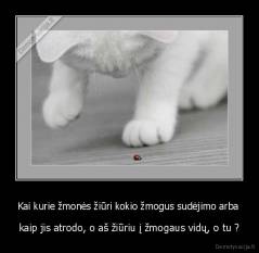 Kai kurie žmonės žiūri kokio žmogus sudėjimo arba  - kaip jis atrodo, o aš žiūriu į žmogaus vidų, o tu ?