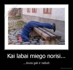 Kai labai miego norisi... - ...lovos gali ir nebuti