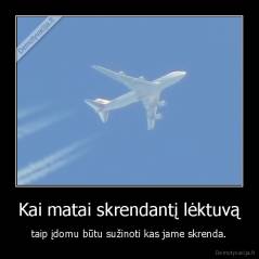 Kai matai skrendantį lėktuvą - taip įdomu būtu sužinoti kas jame skrenda.