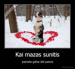 Kai mazas sunitis - pameta galva del panos