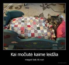Kai močiutė kaime leidžia - miegoti kiek tik nori