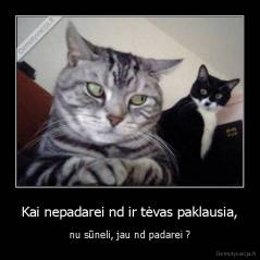 Kai nepadarei nd ir tėvas paklausia, - nu sūneli, jau nd padarei ?
