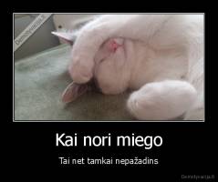 Kai nori miego - Tai net tamkai nepažadins