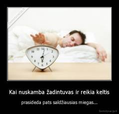 Kai nuskamba žadintuvas ir reikia keltis - prasideda pats saldžiausias miegas...