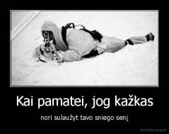 Kai pamatei, jog kažkas - nori sulaužyt tavo sniego senį